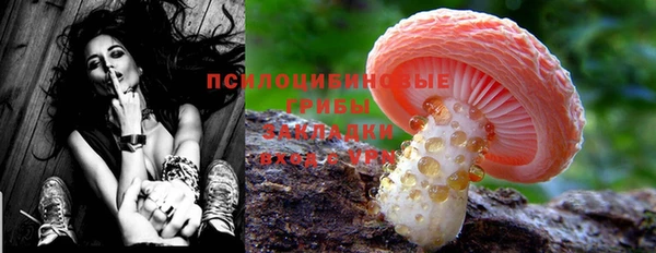 COCAINE Покачи