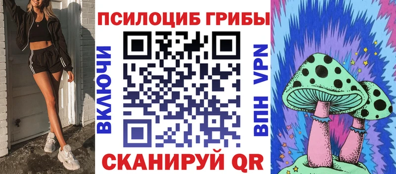 Галлюциногенные грибы MAGIC MUSHROOMS  сколько стоит  Правдинск 